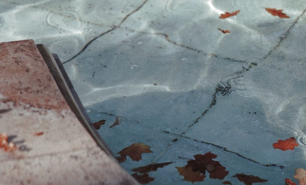 Autumn leaves on a pool before winterization in Virginia